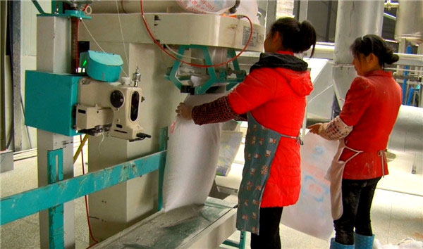 A imagem mostra o último processo da linha de produção do equipamento: enacamento e embalagem finalizados de amido