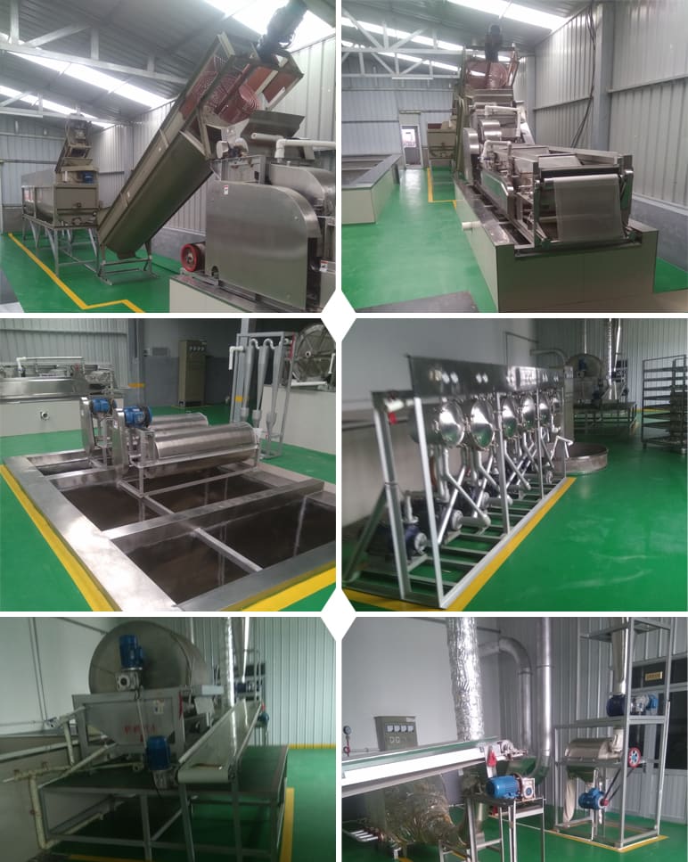 中国200吨日甘薯淀粉生产线