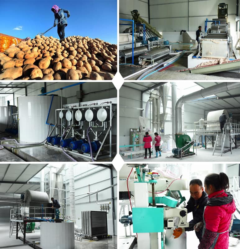 Caso de proyecto: planta local de proesamiento de almidón de patata en China Capacidad: 300 toneladas por entrada diaria de patata fresca Ubicación: en China