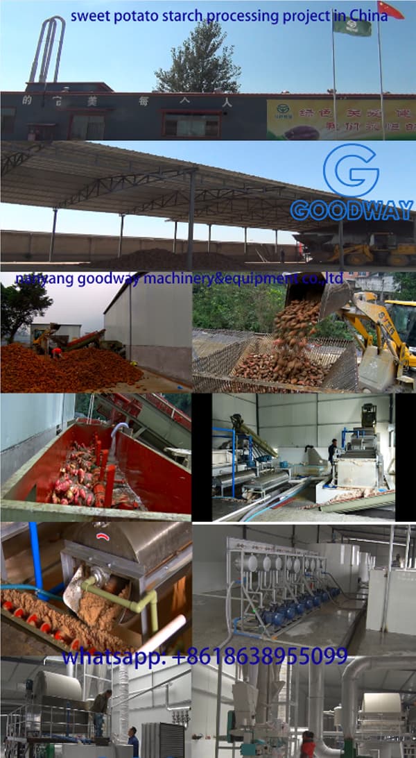 中国的Progetto di lavorazione della fecola di patate dolci
