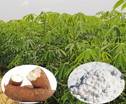 20t/d linha de produção farinha de mandioca established na África