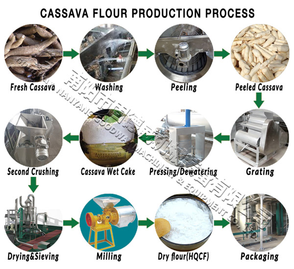 produção farinha de mandioca进程